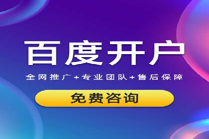 行业首例：SEM竞价优化案例的成效与启示