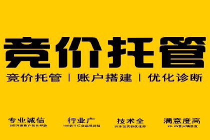 SEM竞价专员案例分析：成功背后的秘诀